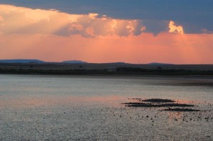 Lagunas de Gallocanta