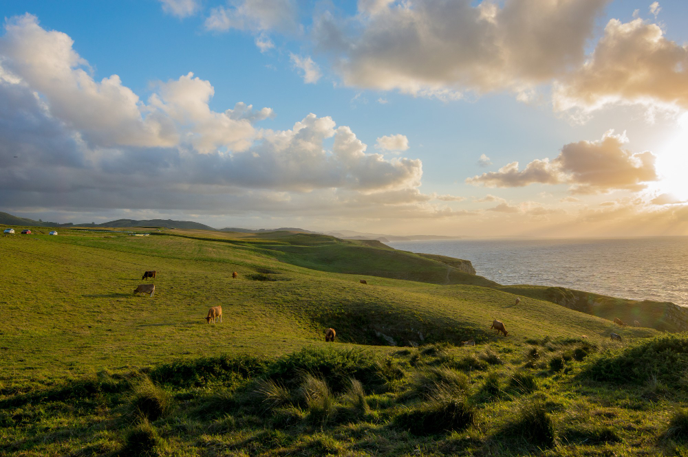 Campings en el norte de España: Cantabria